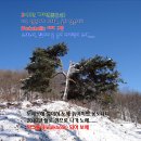 노세노세 이미지