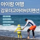 감포로 | [감포더고아라비치펜션]오류고아라 해수욕장앞, 방4개 독채펜션 2박3일후기