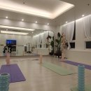 SNPE바른자세척추운동 재활운동 송도SNPE 후기