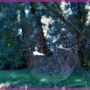 자산한의원 이미지