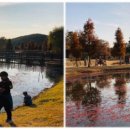 반디장터 이미지