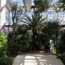 경주동궁원 이미지