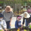 그린유치원 이미지