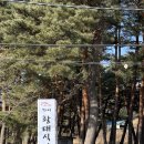 가비황태식당 이미지