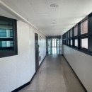 대포동-3 이미지