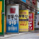 올라공인중개사사무소 조선일보