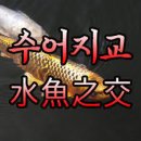 수어지교 이미지