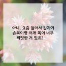 한샘정형외과의원 이미지