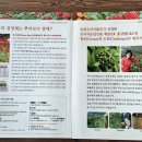 홍삼팜C&C