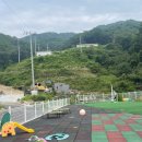 소르피아 양주 | 동두천 애견카페/애견동반 캠프닉 소르피아97