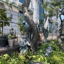 미사리 밀빛 초계국수 이미지