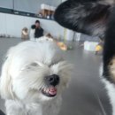 루이야 놀고 자고 GO 이미지