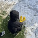 밀양 참샘허브나라 두번째방문 후기 (32개월 아기 눈썰매타기)