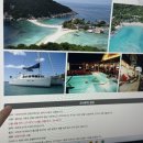 다이렉트 팜