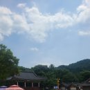 인삼주막식당 | [경북 맛집] 영주 선비촌 인삼주막 내돈내산 후기