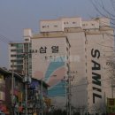 삼일무지개 이미지