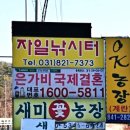 자일낚시터 이미지