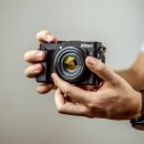 오가닉피티 이미지