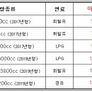 (주)블루렌트카 이미지