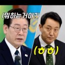 시장직 박탈을 직감한 오세훈이 어제 한일. 이미지