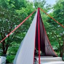 숲속계곡 쉴만한물가 이미지