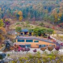 꼬미엔소 이미지