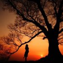 향기다방 이미지