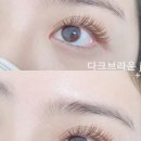 쩡이LASH
