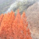 쿠로가배로스터리 | 대전 추어탕맛집 대전 논뚜렁추어탕 / 성심당 부띠끄 야끼소바빵 / 장태산 단풍