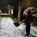 강서구-36 이미지