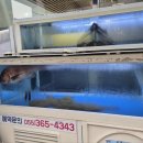 증산횟집