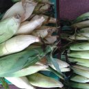 (주)유원건설 이미지