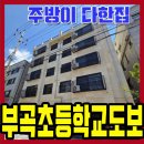 부곡초 | 안산 부곡동신축빌라 분양 고급주방 초품아현장 리뷰