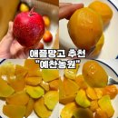 [제주 애플망고 추천-예찬농원] 국내산 미니 애플망고 솔직후기