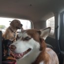 어서타개 이미지