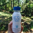 와룡목장 | (창원밥집) 창원대 와룡 파전 후기