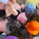 성분도어린이집 이미지