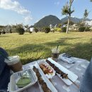 행운공원 | 부산 근교 양산 황산공원 국화축제 방문 후기