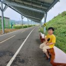 영수태양광발전소 이미지