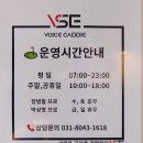 보이스캐디VSE탑 네이버블로그
