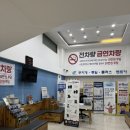 무지개슈퍼 | 제주 무지개렌트카 솔직 후기 내돈내산 가족여행 렌트카 추천