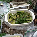 광덕3로4 이미지