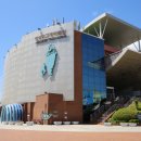 고래문화가 있는날 이미지