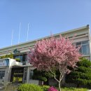 (구)서천군청 이미지