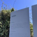 카페누모 | 제주도 필수코스! 섭지코지 가을 방문 후기(주차, 소요시간, 준비물은 체력)