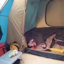 몽산포주유소 이미지