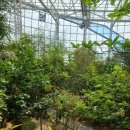 한밭대로 이미지