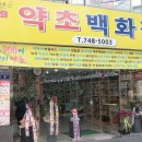 약초백화점 이미지