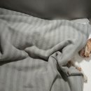 제니스 노래연습장 이미지