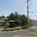 햇님달님민박 이미지